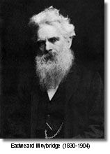 Eadweard Muybridge (1830-1904)