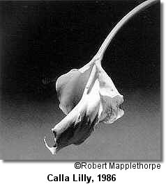 Robert Mapplethorpe (1946-1989)